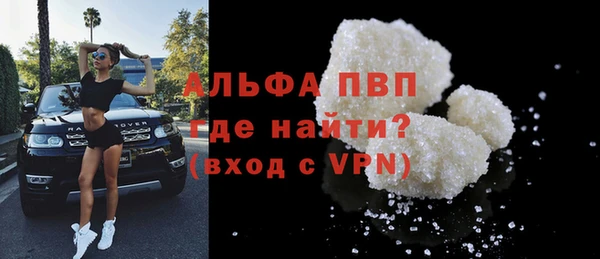 прущие грибы Абаза