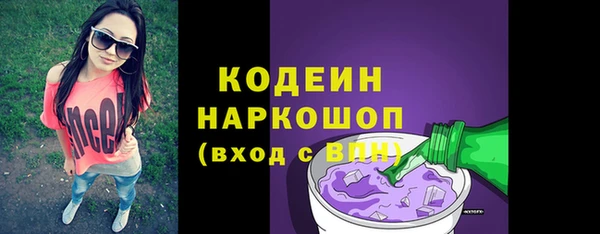 прущие грибы Абаза