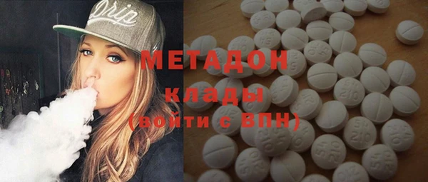 прущие грибы Абаза