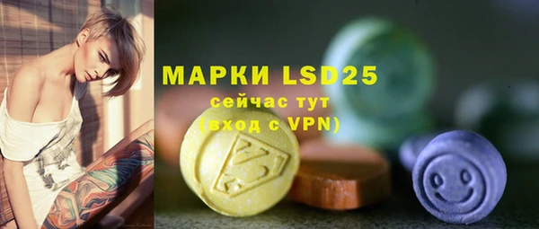 прущие грибы Абаза