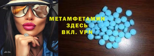 прущие грибы Абаза