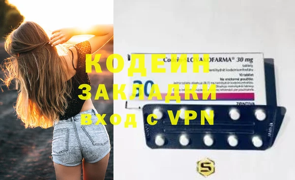 прущие грибы Абаза