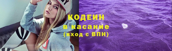 прущие грибы Абаза