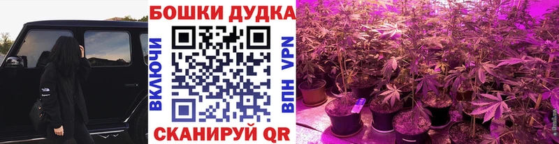Бошки марихуана White Widow Урень